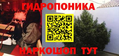 кокс Краснодар