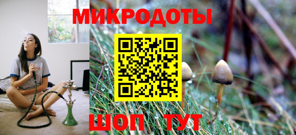 Псилоцибиновые грибы Cubensis Знаменск